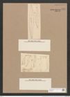 Pleurosigma angulatum (Queck.) W.Sm. (de-Toni-Nr.: Genus 13, Species 1001) Zeichnungen Sammlung Grunow Nr. 1985 (NHMW-BOT-W0368830)